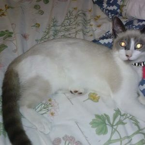 Meet your Posher, Martha